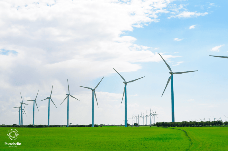 a field of wind turbines