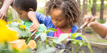 children working with plants in a flower bed