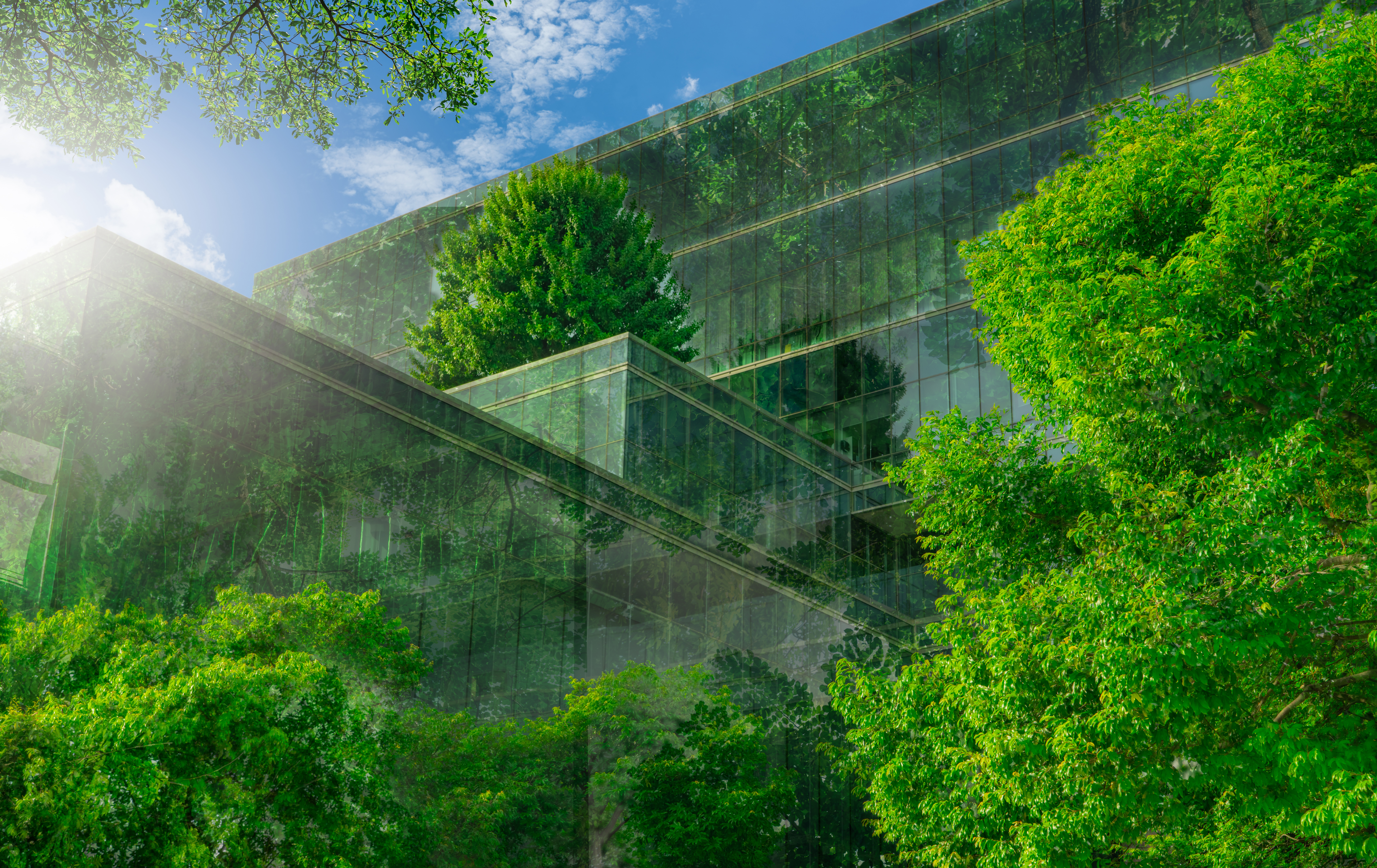 Green building for sustainable FM