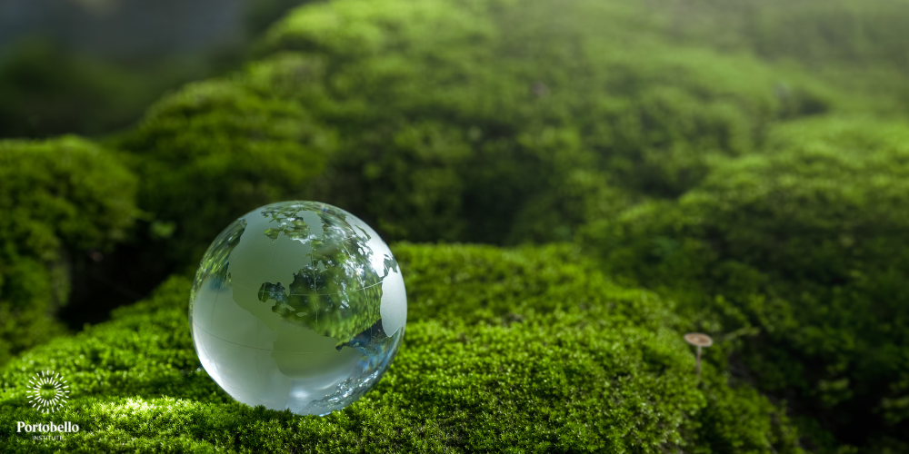 World Earth Day, glass globe on greenery